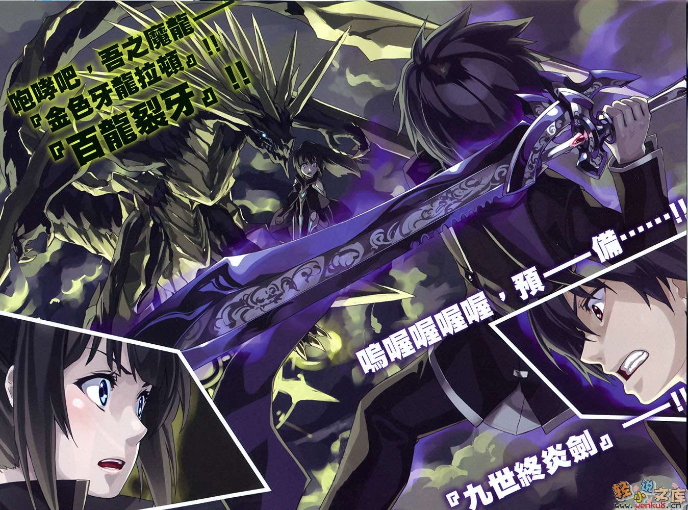 圣剑与魔龙的世界